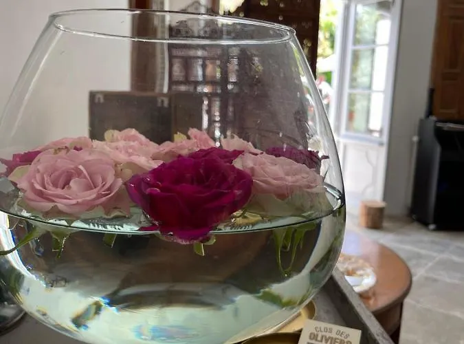 Clos Des Oliviers Отель типа 