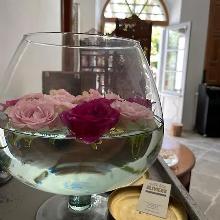 Clos Des Oliviers Bed and Breakfast
